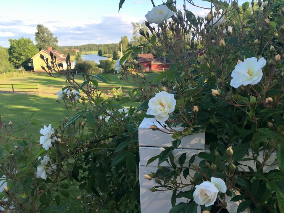 Tukkilan Tila Bed & Breakfast ปอร์โว ภายนอก รูปภาพ